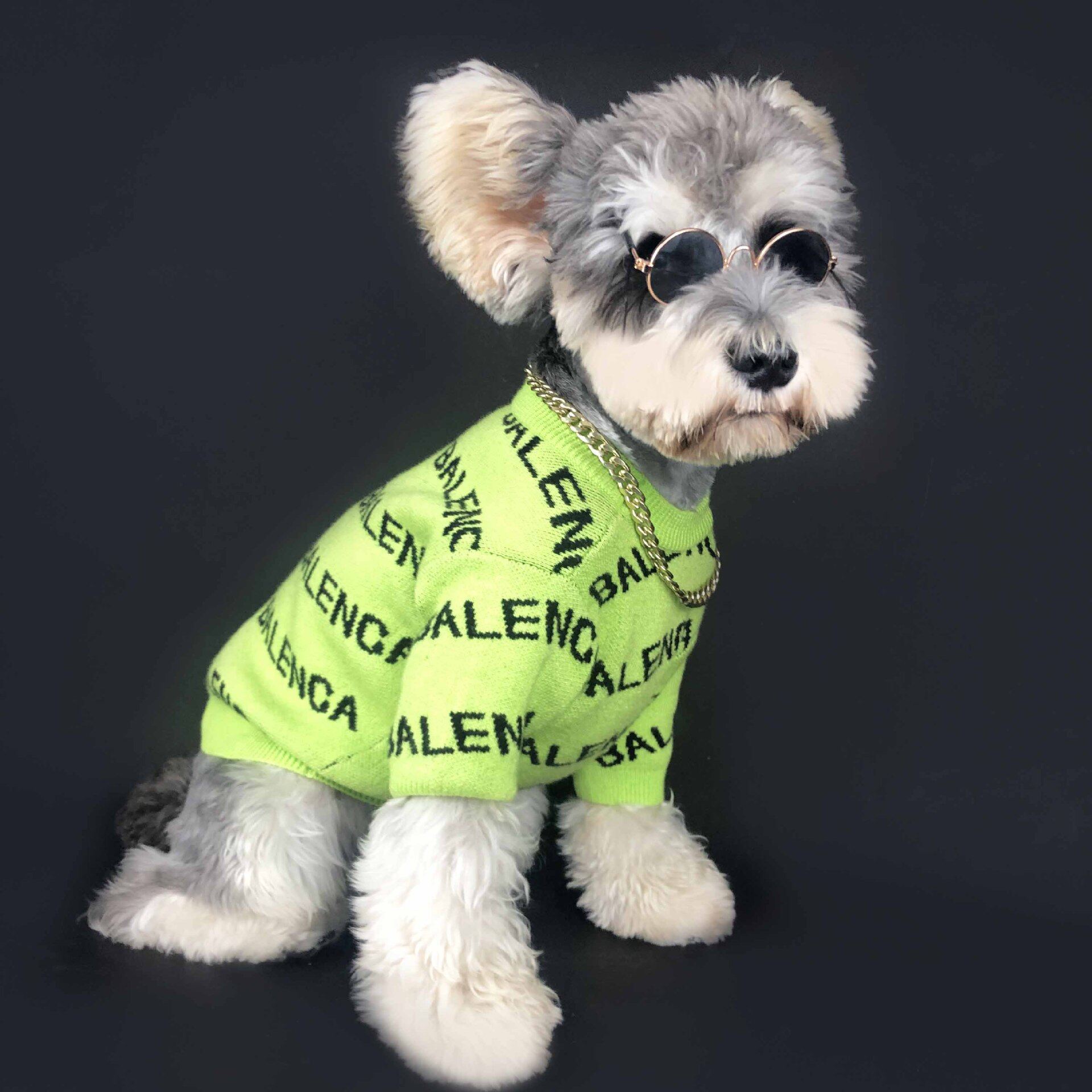 AuntieCindy 2 Colors Pet Clothes Tide Brand Dog Sweater Cat Shirt Printed Balenca Fashion Clothing Dog Clothes Autumn Winter Warm Coat for Shih Tzu Chihuahua