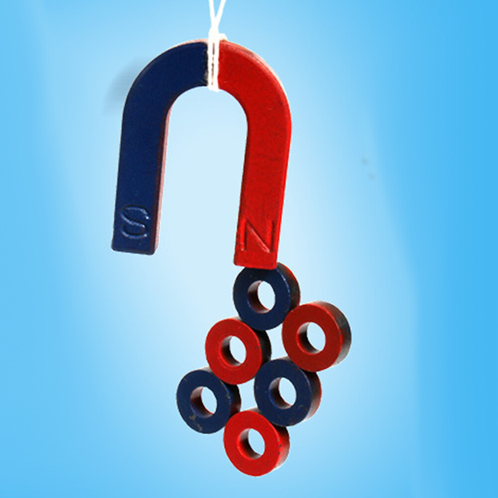 DIY Bar Ring Horseshoe Compass Magnets Set Science Experiment Tool Kids Toy
