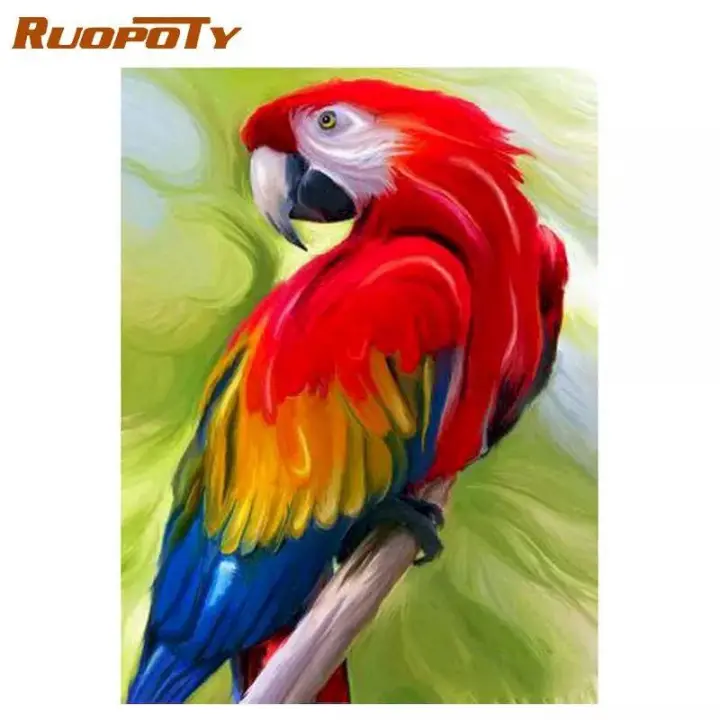 Sdxcxyuoiu Animals Oil Painting By Numbers Parrot For Adults Paints By Number Canvas Painting Kits 40x50cm Diy Gift Home Decor Lazada Singapore