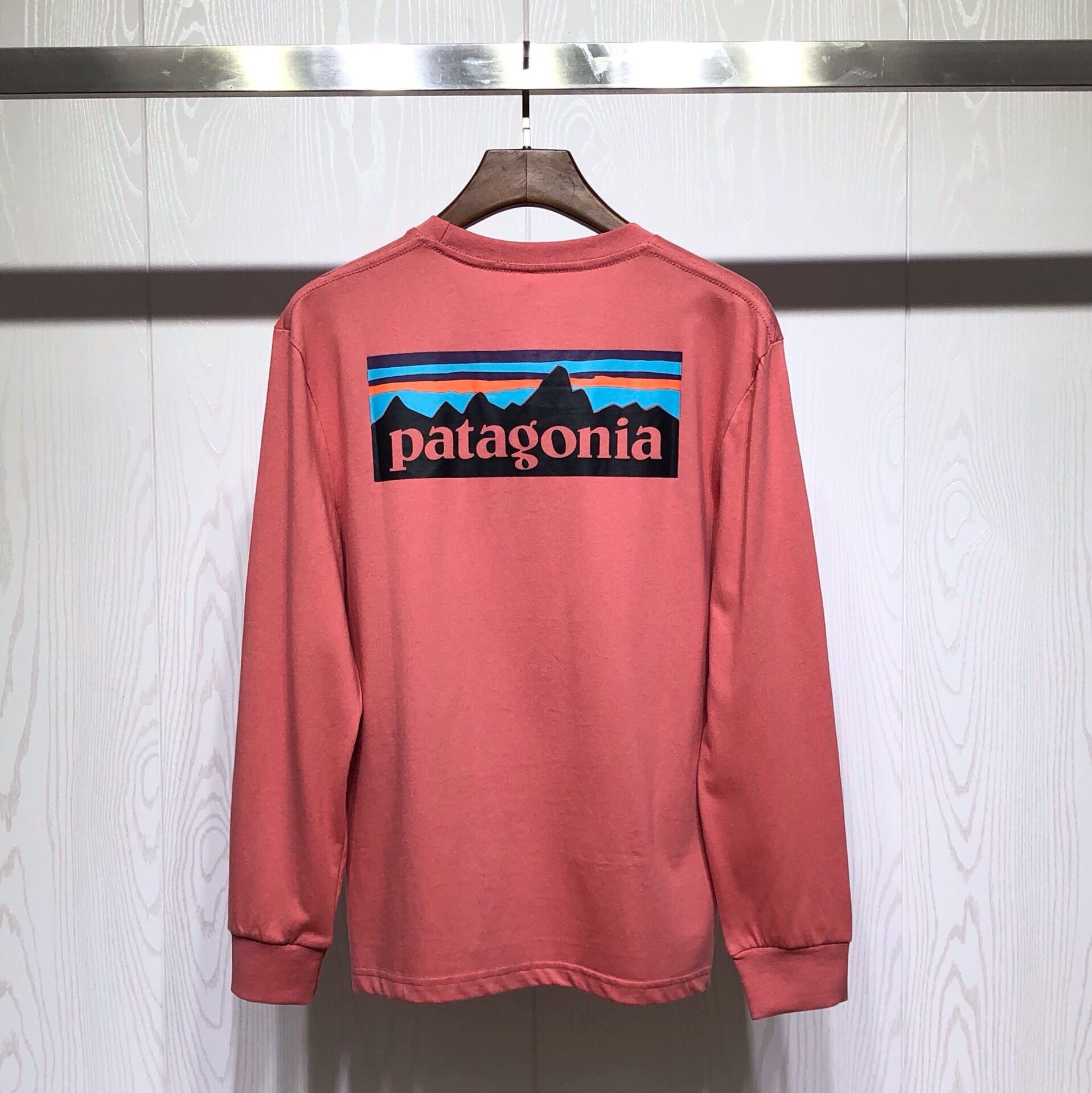 BEAMS X Patagonia Balta P-6 Mountain Print 100 Long-sleeved T Shirt