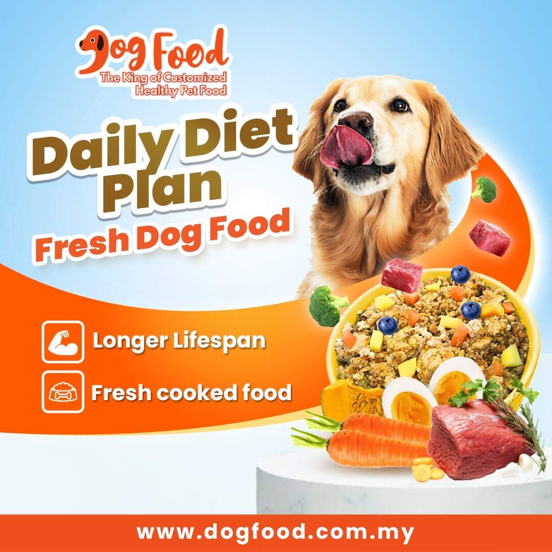 DF Daily Diet Meal for Dog Fresh Dog Food Healthy Pet Food 28x Packs Lazada