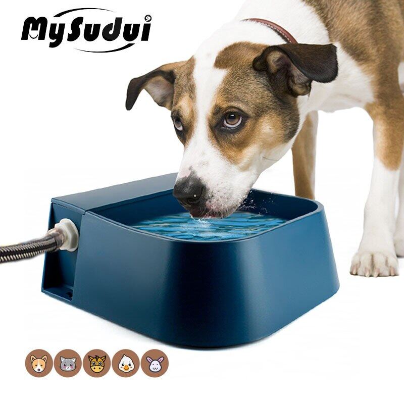 heated automatic dog waterer