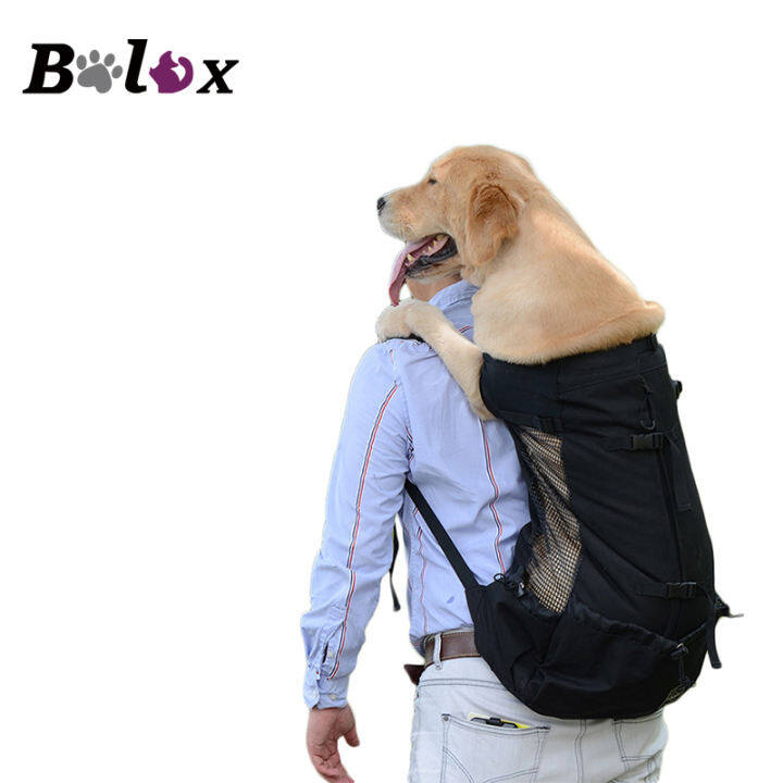 dog carrier lazada