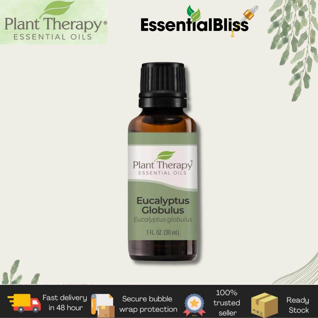 Plant Therapy Eucalyptus Globulus Essential Oils | Lazada