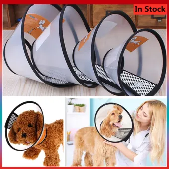 dog anti scratch collar