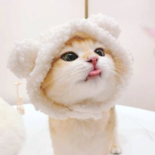 Loving Pet Hair Accessories Dog Hairband Korean Bear Cosplay Face Fully Enclosed Warm Cat Hat