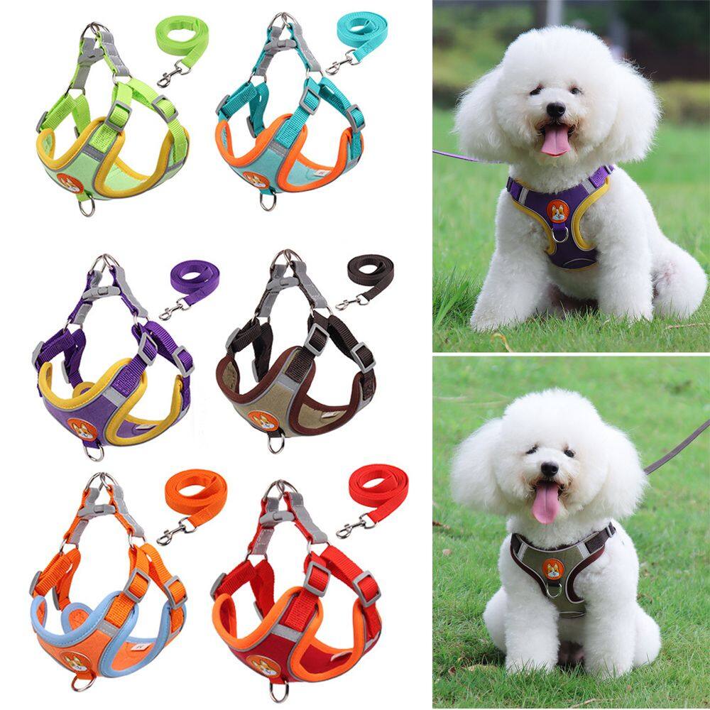 PETIBAG Có thể điều chỉnh Dây buộc Vòng cổ cho chó Phản quang Dây buộc áo