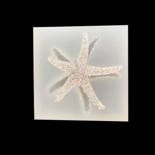 Hang Co Sẵn Giao Hang Miễn Phi 1 Khuon Silicon Lỏng Trang Sức Nhựa Uv