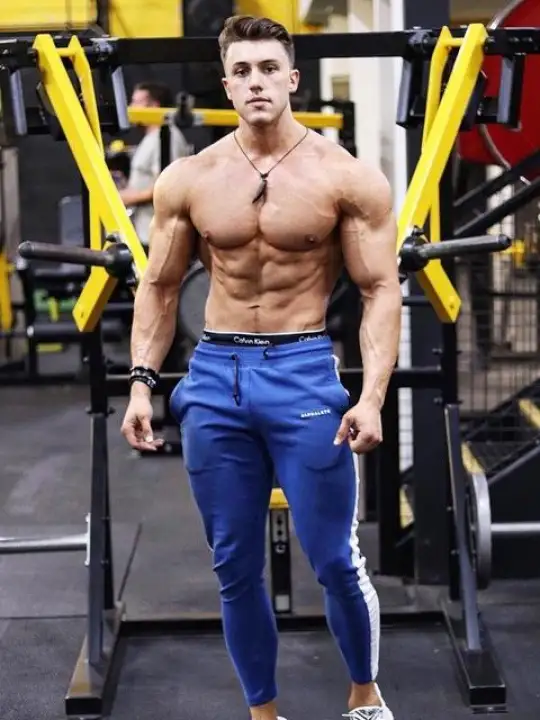 alphalete sweatpants