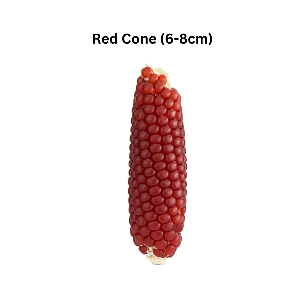 Hamster Mini Corn snack bite treat makanan | Lazada