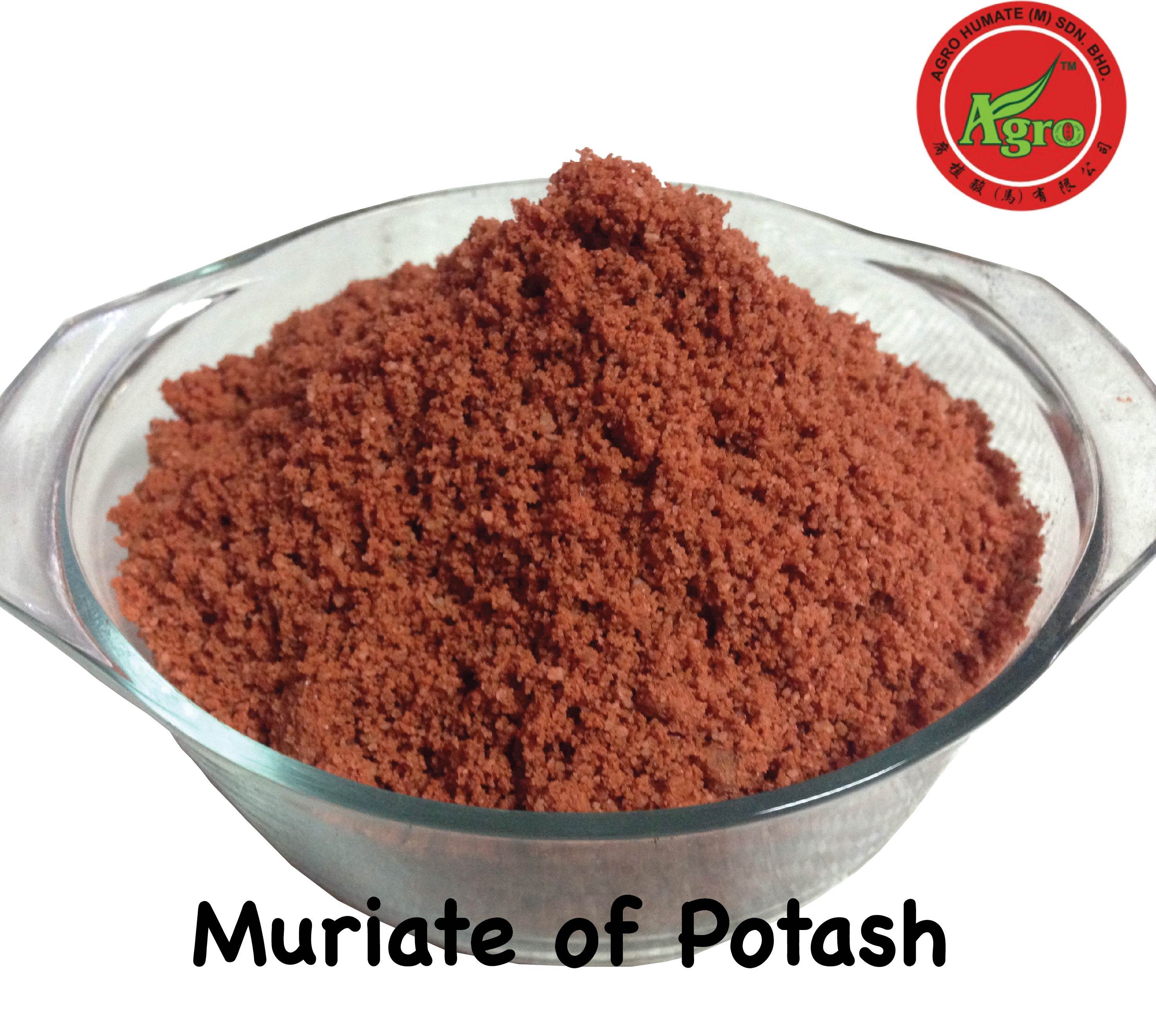 Muriate of Potash MOP 60 Baja Bunga 500 gram repack Lazada