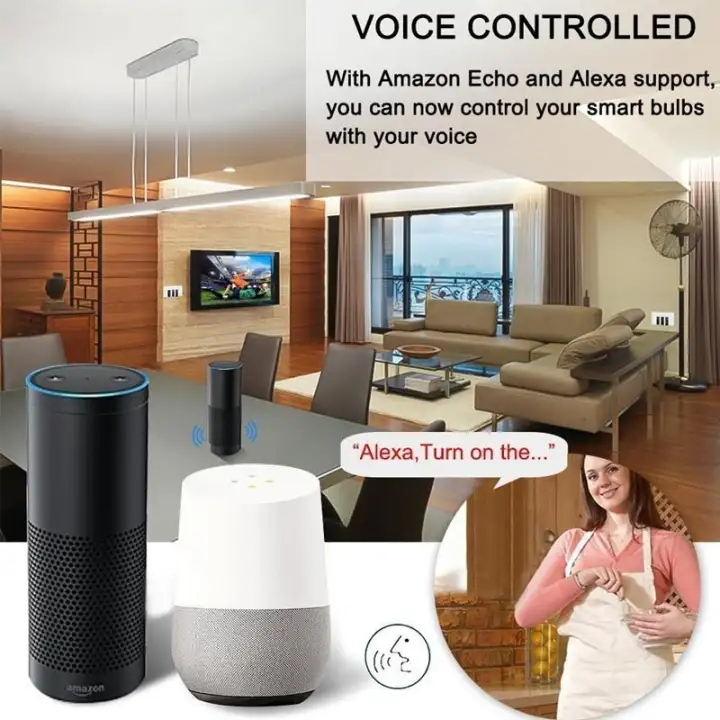 echo controlled light switch