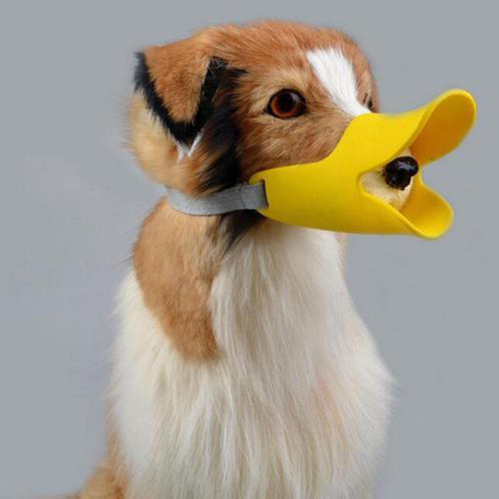 duck muzzle