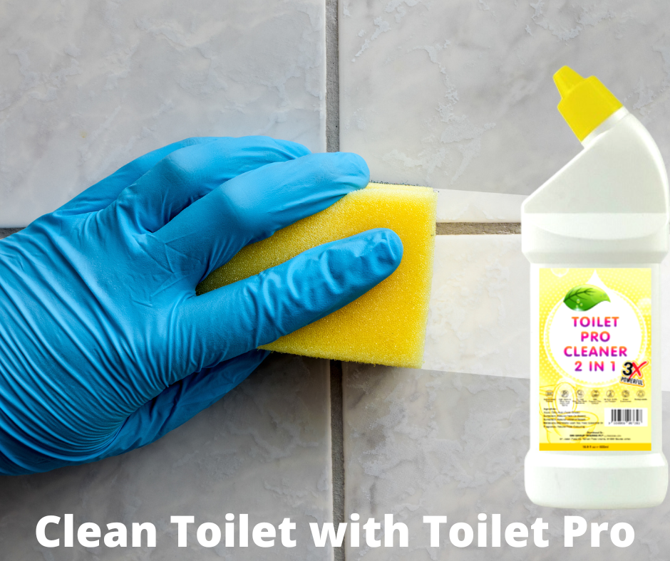 【NON TOXIC】 TOILET PRO CLEANER 2 IN 1 500ml Exp 1/2025 Lazada