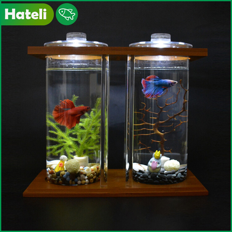 [HATELI] Aquarium Set Creative Bamboo and Wood Ecological Fighting Fish Tank Desktop Mini Fish Tank Aquarium （(Including Cover, Lamp, Bottom Sand, Middle Baffle)）