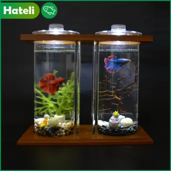 aquarium mini lazada