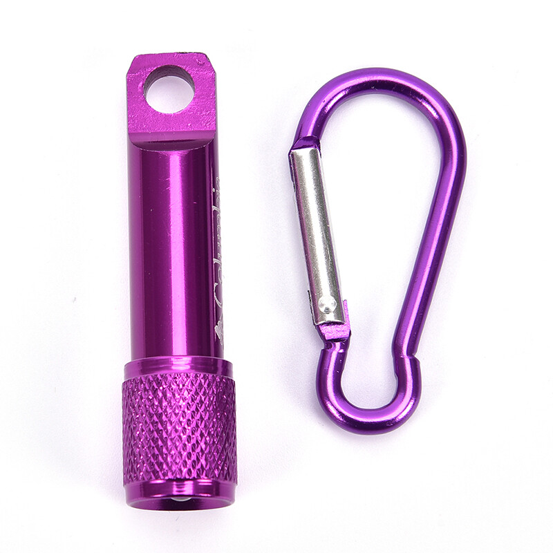 Ministar Mini Flashlight Keychain LED Pocket Torch Light Flashlight