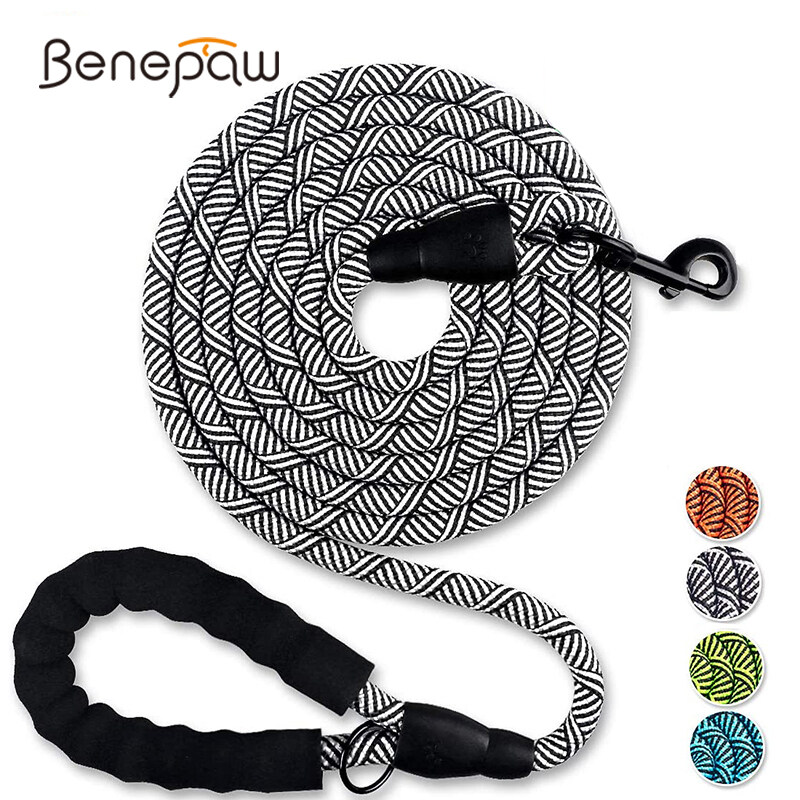 white rope dog lead