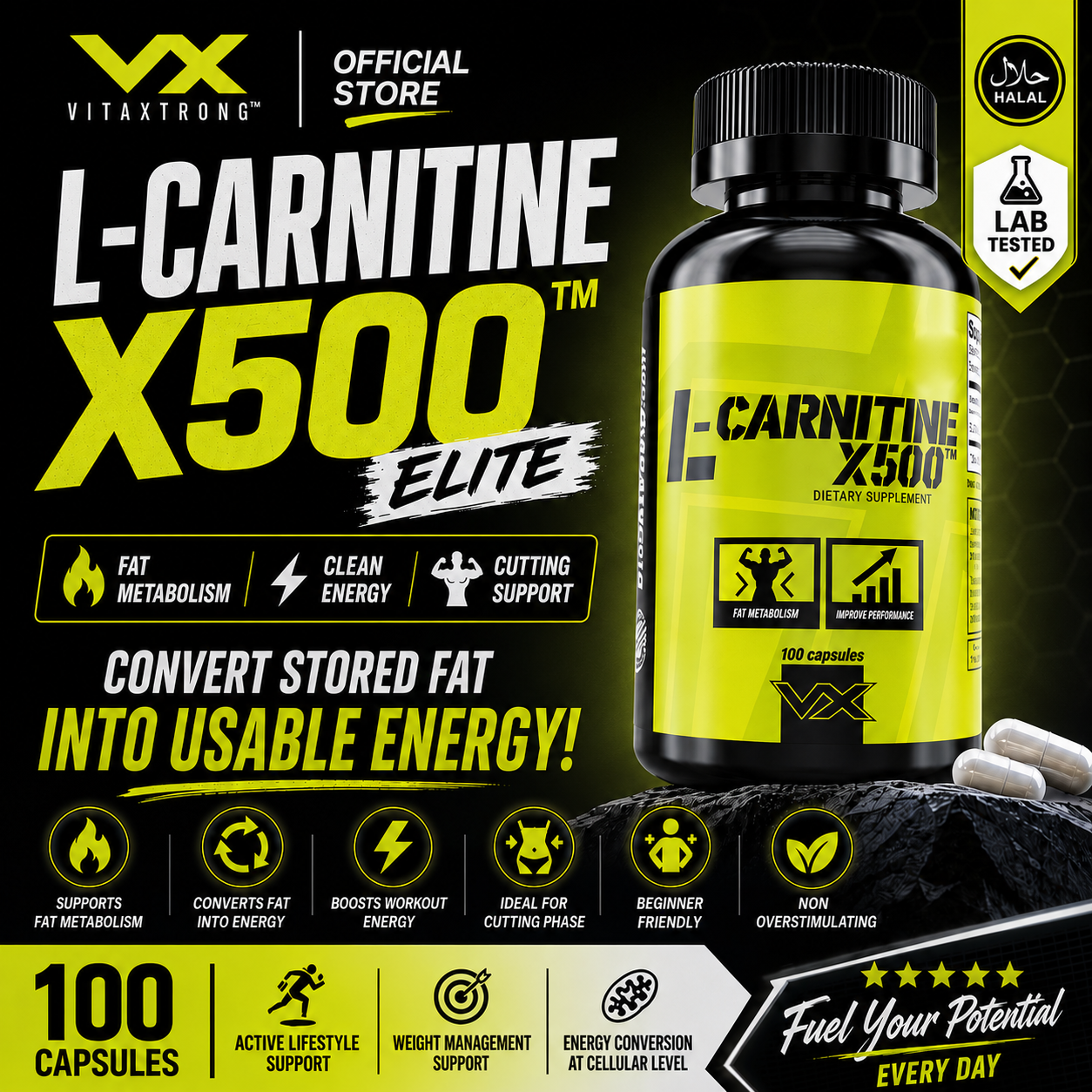 vitaxtrong acetyl l-carnitine x500 100 CAPS VX Vitaxtrong L-Carnitine X500