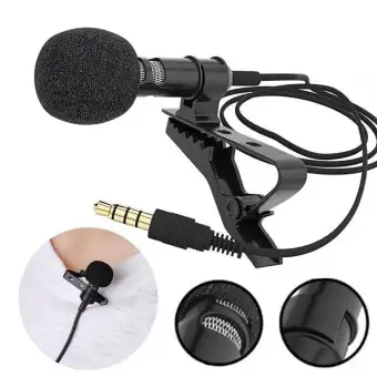 portable microphone and speaker for presentations