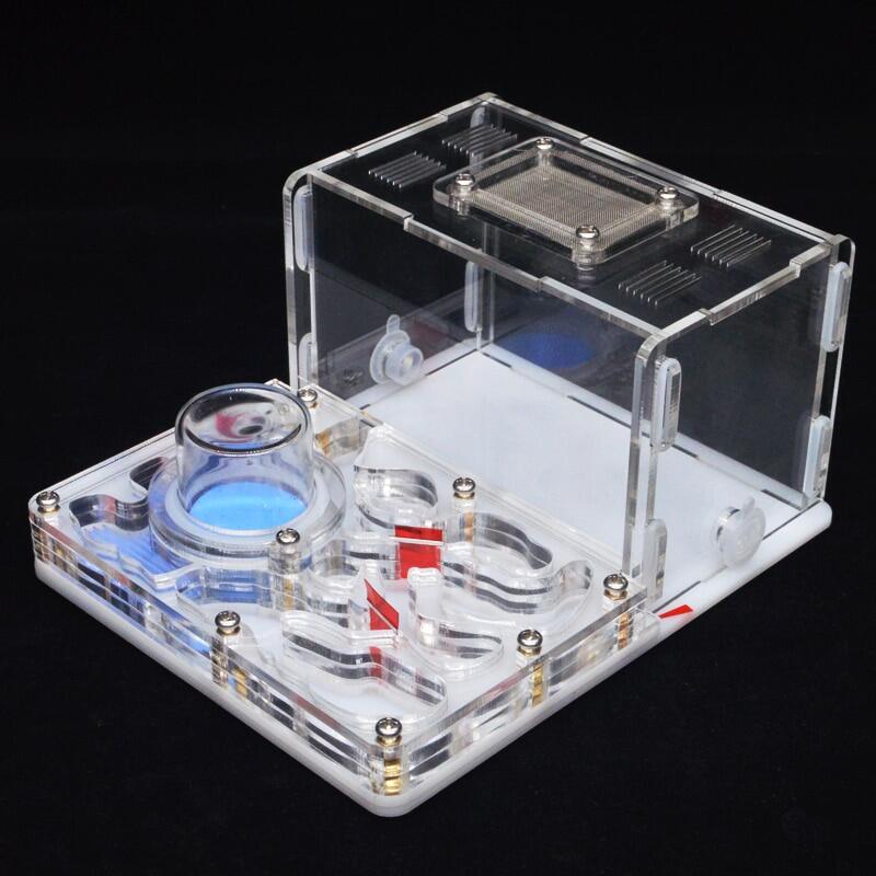 Kiến Acryl Tự Làm Tổ Kiến Phẳng Trang Trại Nhà Kiến Cho Thú Cưng Tháp Nước