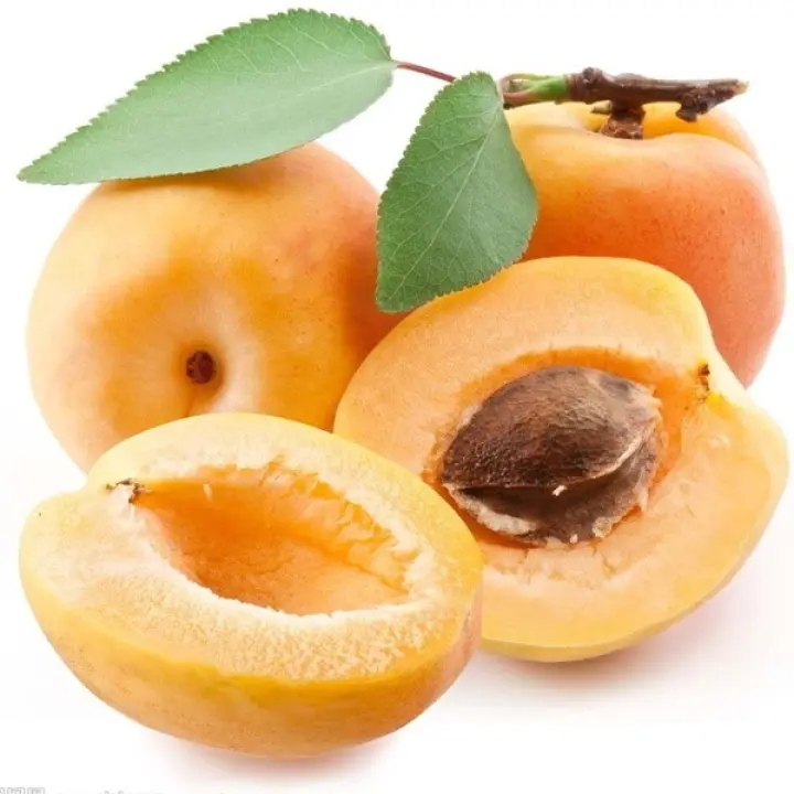 Apricot Tree Seeds,10Pcs Sweet Apricot Seeds Tree Rare Fruit Bonsai Plant Home Garden Decor