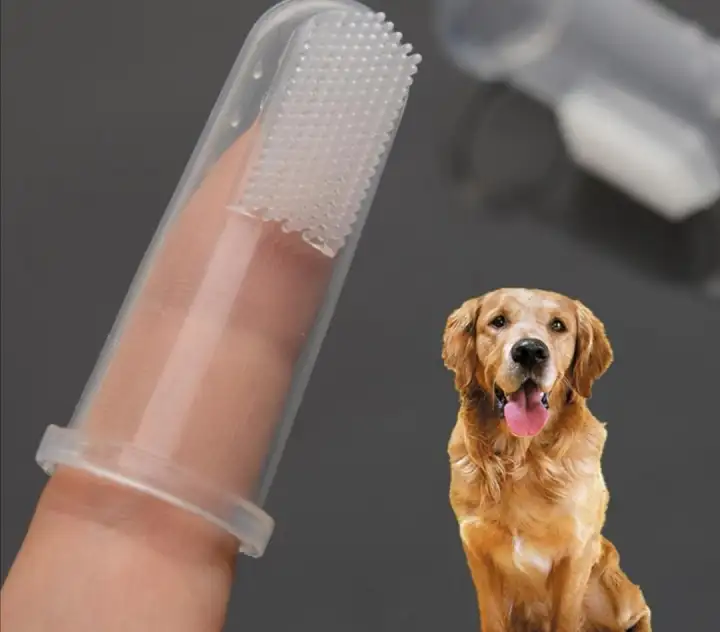 edible toothbrush for dogs