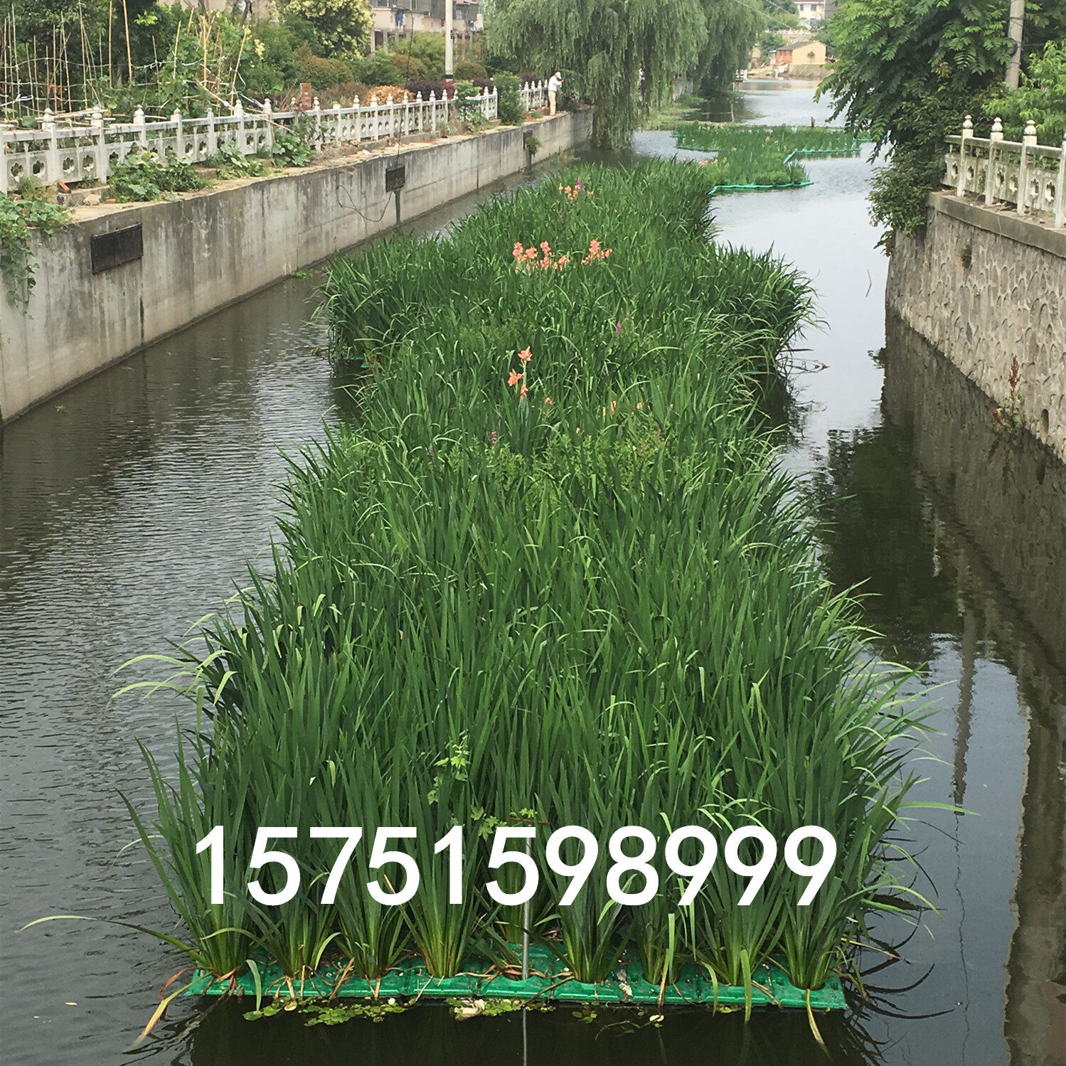 Ecological Floating Island Biological Floating Bed Plant Planting on