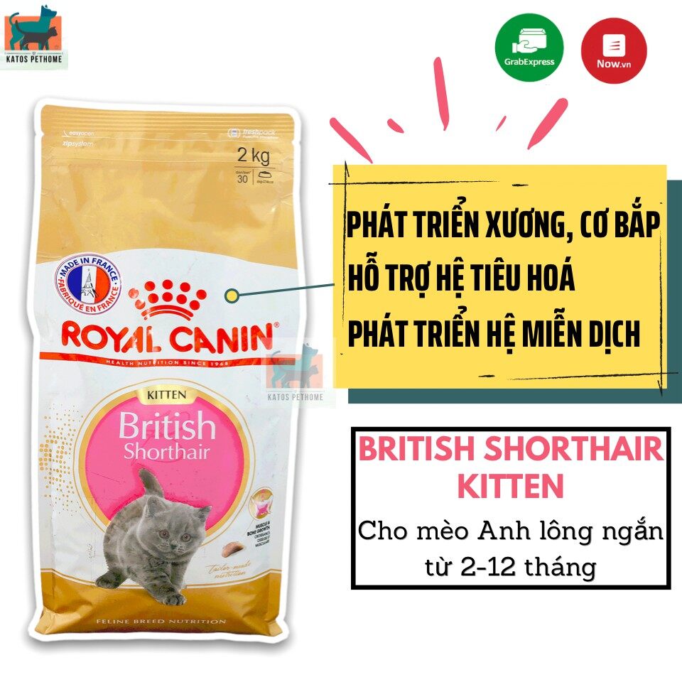 Thức ăn Royal Canin British ShortHair Kitten