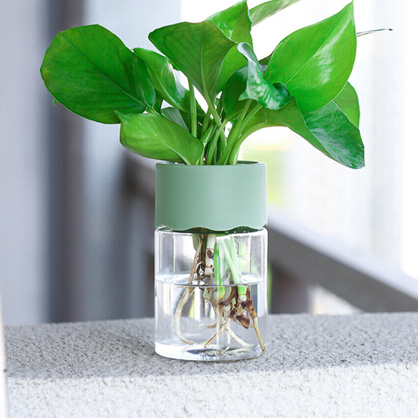 Transparent Hydroponic Flower Pot Water Planting Vase Container Plastic Tabletop Plants Bonsai Home Decoration
