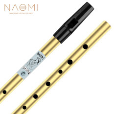 Naomi 6 lỗ tin còi truyền thống Irish Penny còi Chất liệu đồng thau nhạc cụ cho người mới bắt đầu, chìa khóa của C