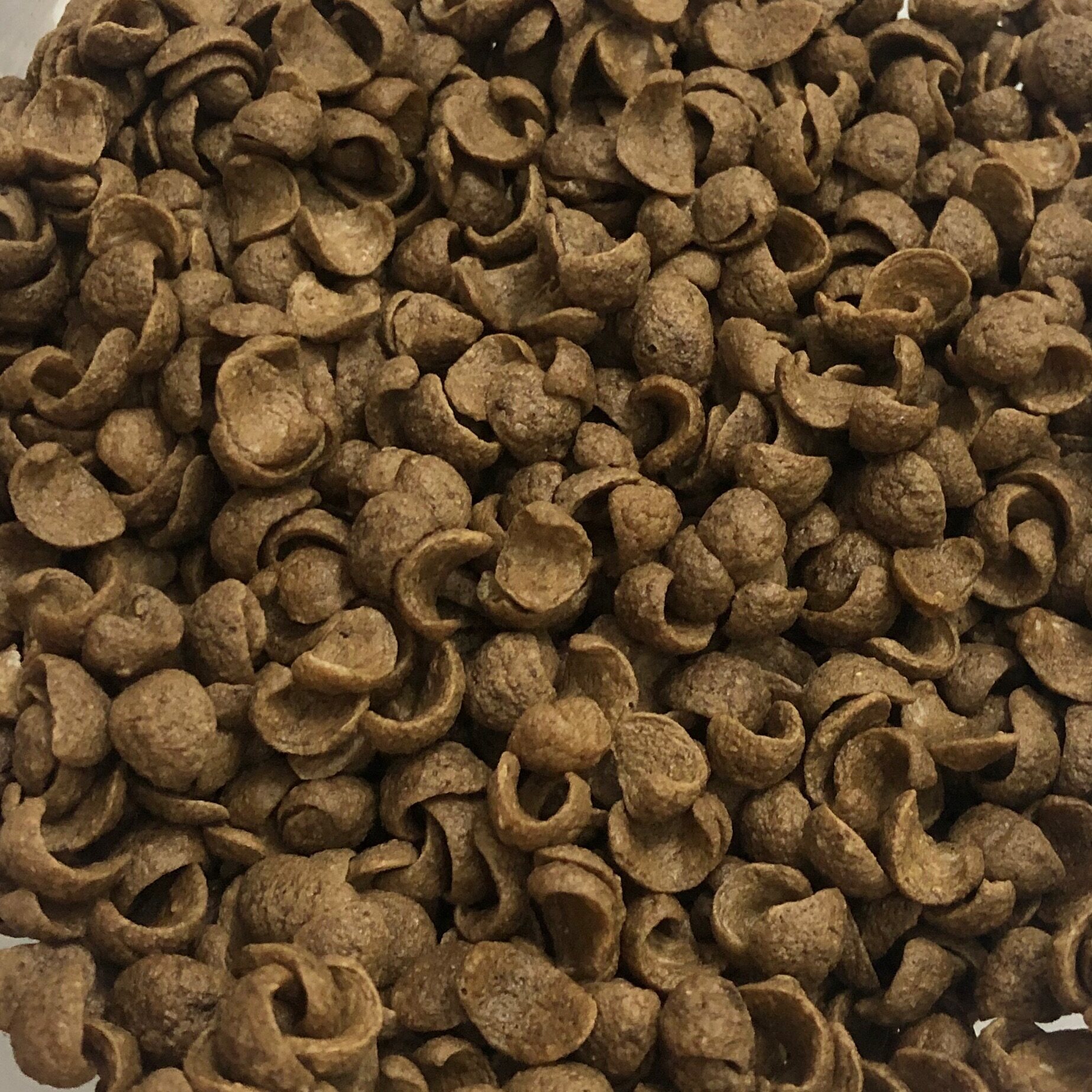 Mini Koko Krunch Baby Cocoa Crunch 1kg Lazada
