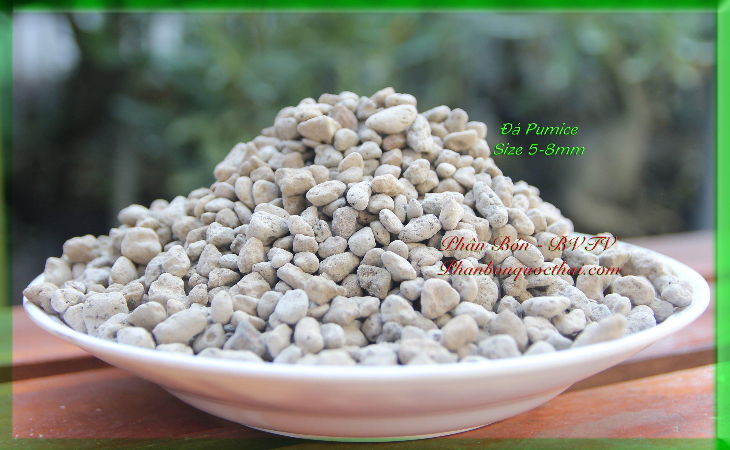 1kg Đá Bọt Pumice (đá lông vũ)Trồng Cây, Hoa Kiểng size 5-8mm