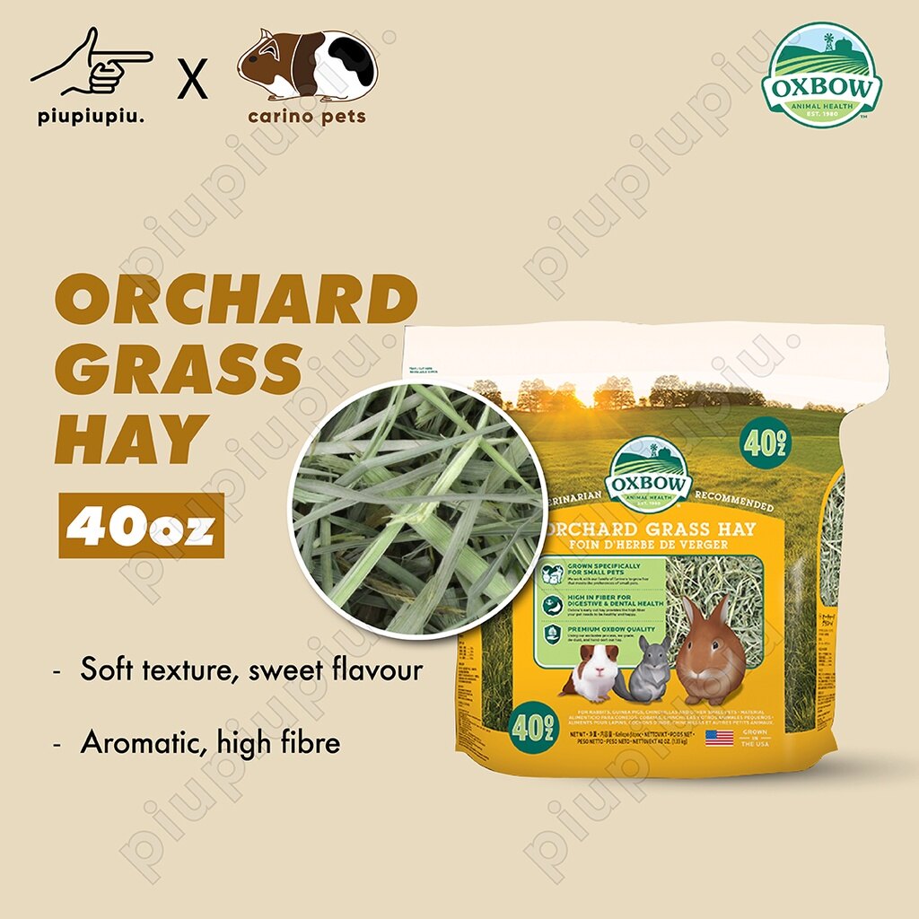 Oat Hay Is Orchard Hay Good For Rabbits Oat Hay Orchard Grass For