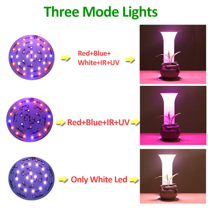 uv desk lamp for plants