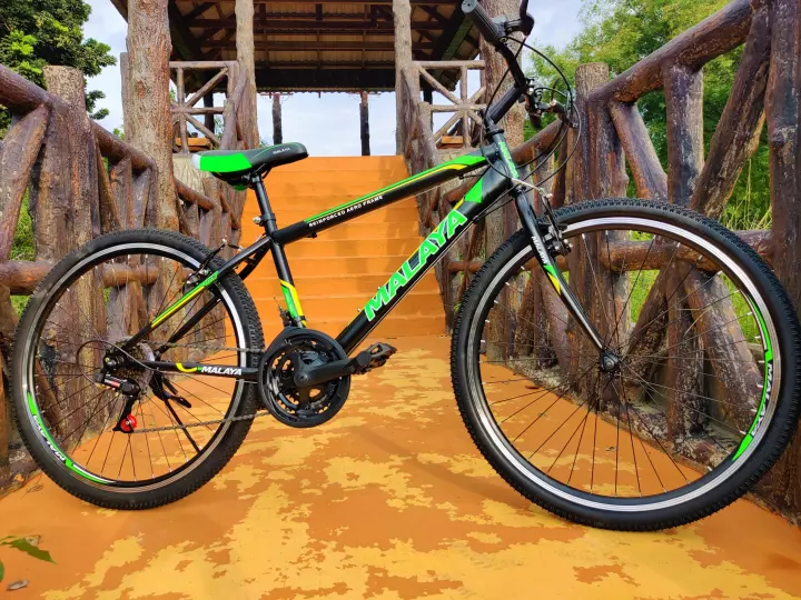 basikal mountain bike untuk beginner