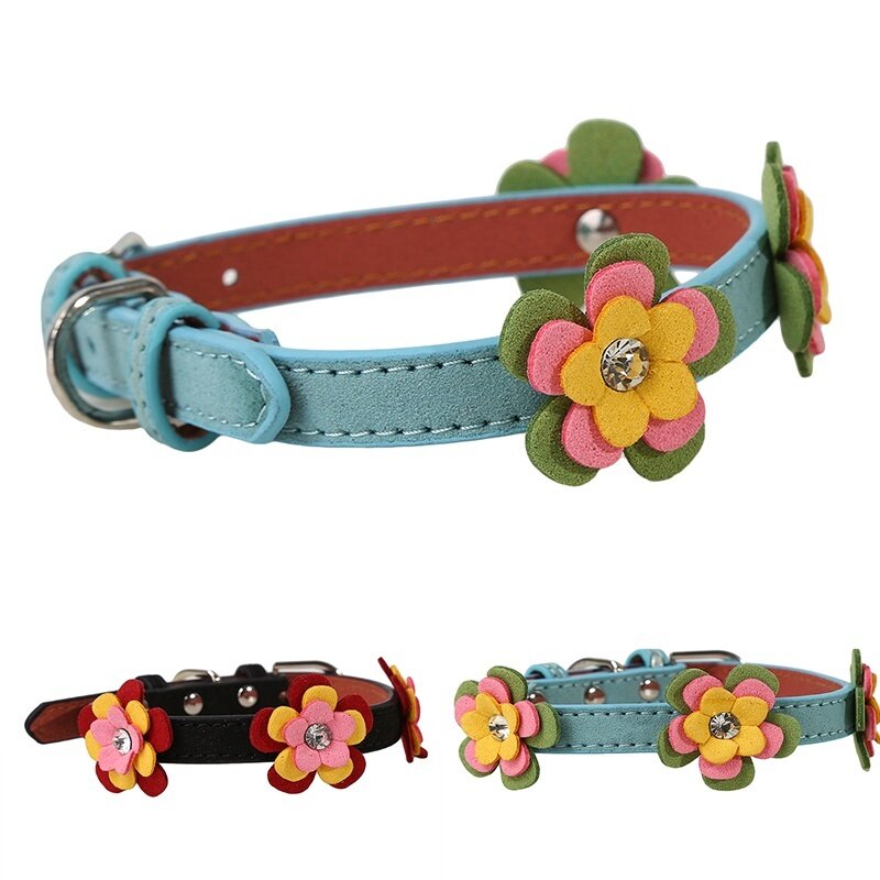 dog collars for sale