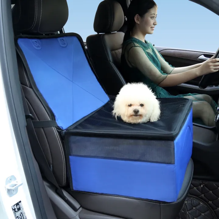 dog carry on