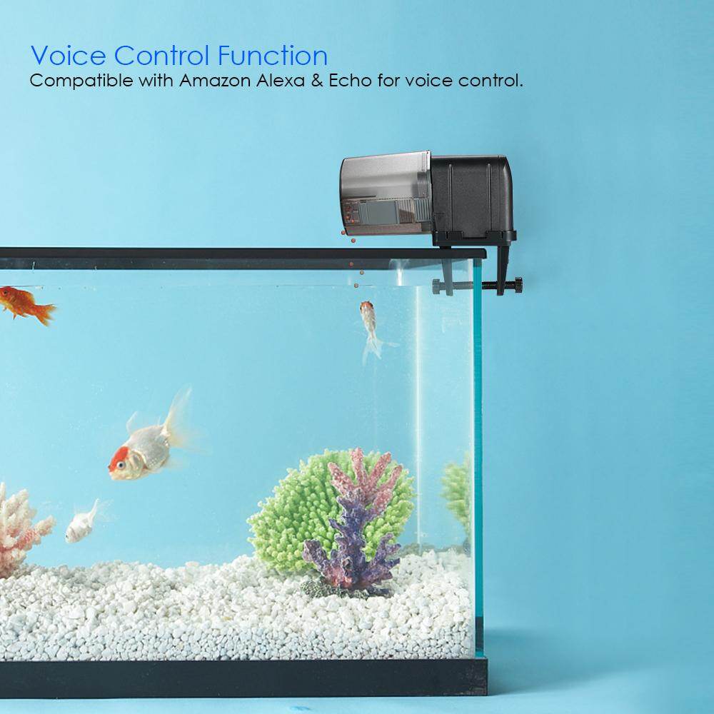 Máy cho cá ăn tự động có thể điều khiển bằng ứng dụng Alexa - INTL