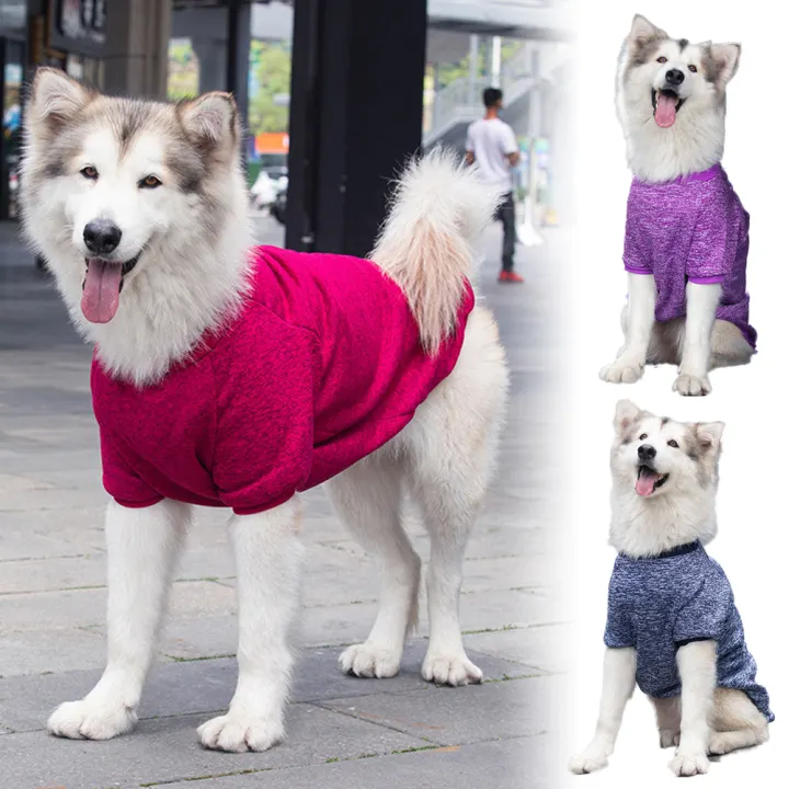 dog clothes for long dogs