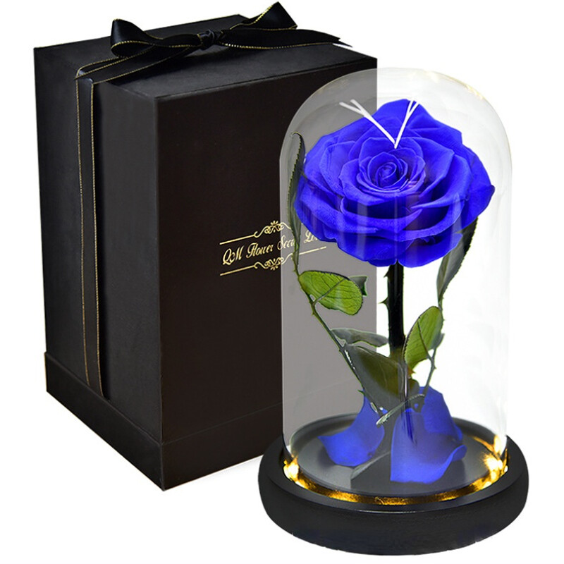 Seangel Preserved Real Rose Handmade Eternal Rose in Glass Beauty and The Beast Rose Gift for Her Valentine's Day Mother's Day Anniversary Birthday Unique Gift for Her, Best Gifts for Women