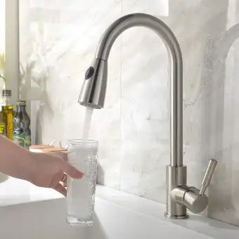 Netel Commercial Single Handle High Arc Brushed Nickel Pull Out