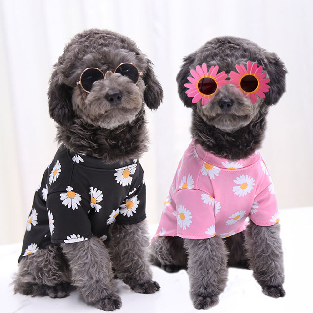 summer dog shirts