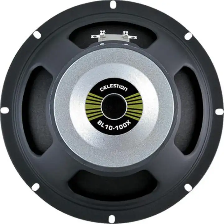 100 watt bass speaker