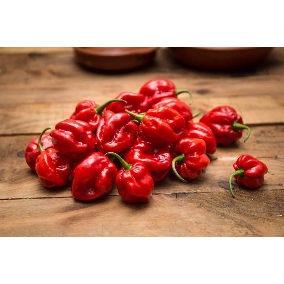 5 Hạt Giống Ớt Siêu Cay Red Habanero