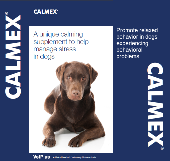 Calmex fashion for dogs