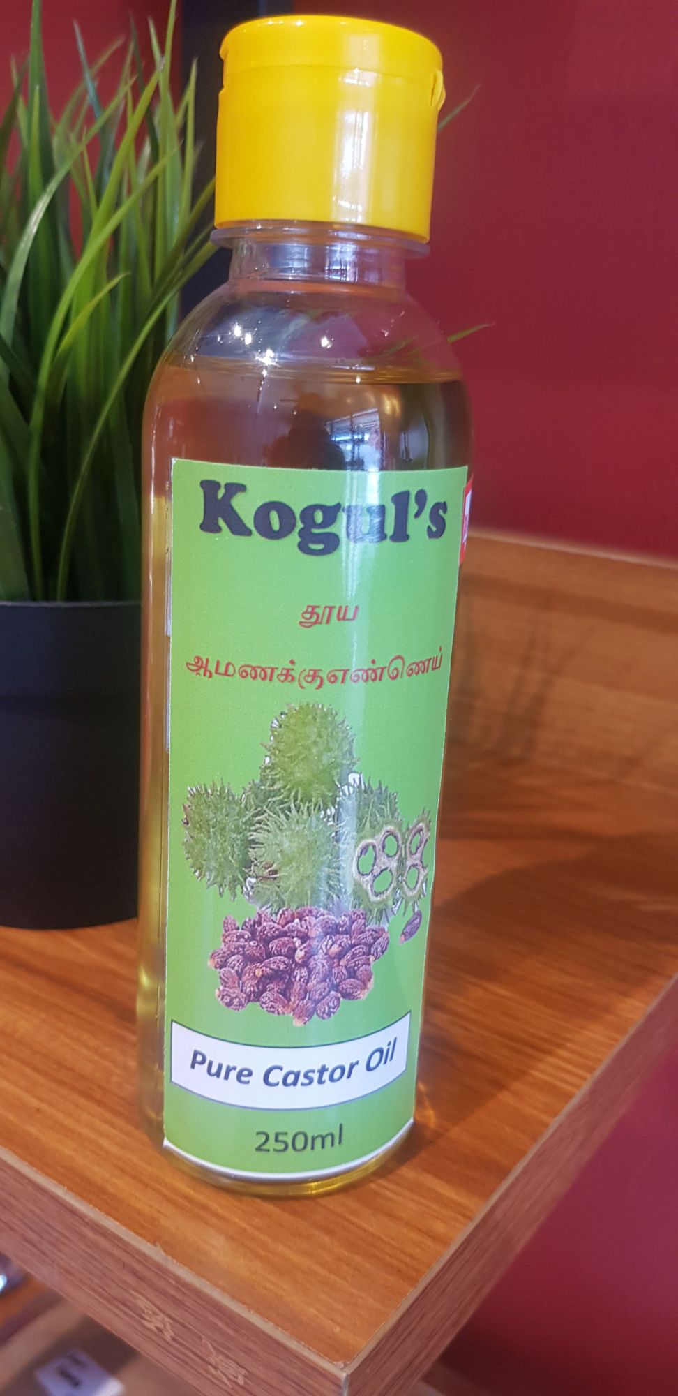 Koguls Castor Oil Velakennai Marachekku Oil Cold Pressed Pure Unrefined Lazada