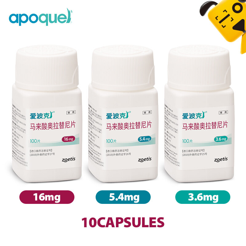 Apoquel (oclacitinib) Tablets for Dogs 16mg 5.4mg 3.6mg 10 tablets | Lazada