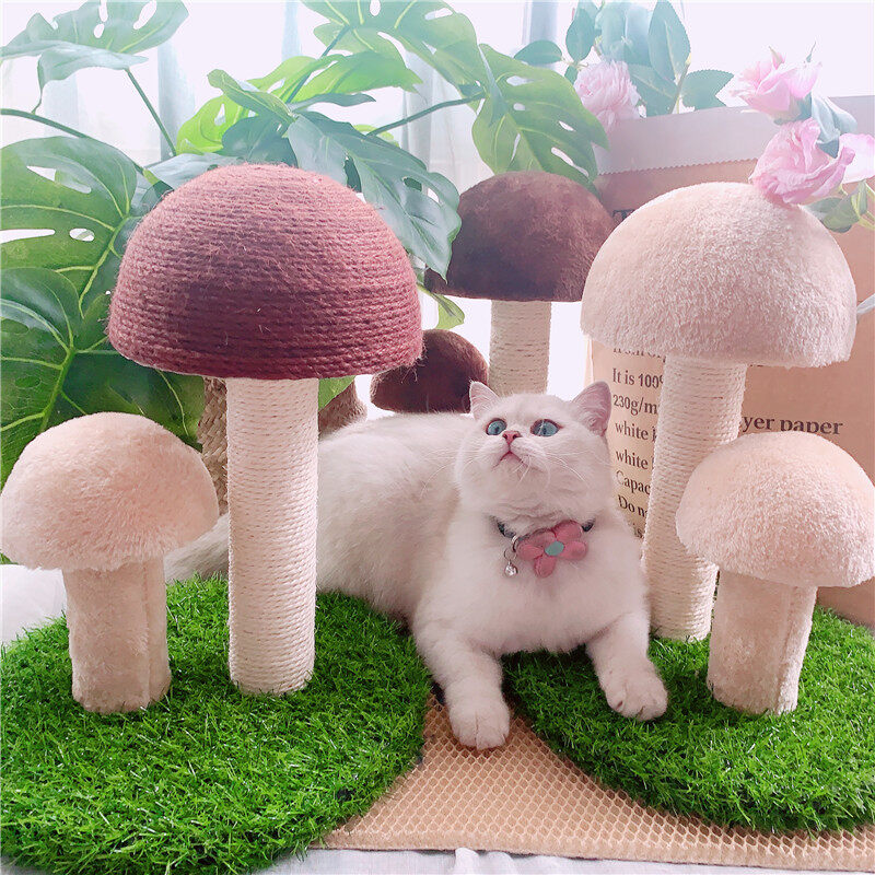 Cat Dog Wizard Of Oz Nấm Dễ Thương Mèo Cào Ban Nhỏ Sisal Mèo Leo Khung Mèo Mèo Cây Chơi Thiên Đường Thực Vật