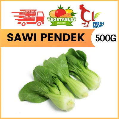 Sawi Pendek Sawi Kecil Pak Choy 小白菜 300g